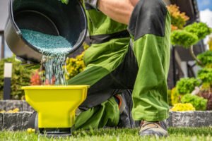 Read more about the article Nawożenie Trawnika: Kiedy i Jak? Kompletny Przewodnik